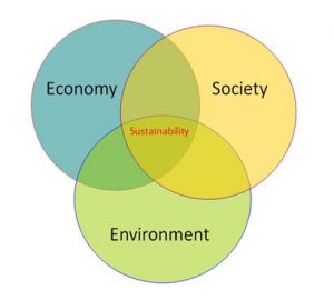 Getting the Measure of Sustainable Economic Growth